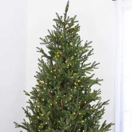 7.5' Indoor LED Upswept Norway Spruce Christmas Tree - Warm White - Image 3