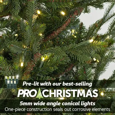 7.5' Indoor LED Upswept Norway Spruce Christmas Tree - Warm White - Image 2