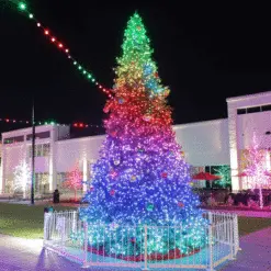 28' Twinkly Pro RGBW Majestic Mountain Pine Tree